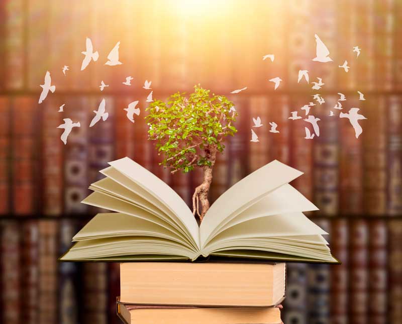 Livre ouvert avec un arbre au milieu entouré d'oiseau, pour montrer que le coaching de vie permet le développement personnel grâce au savoir du coach