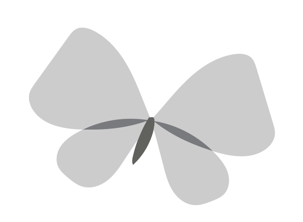 papillon gris