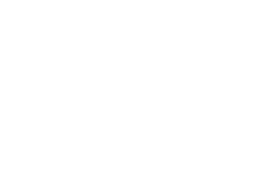 paquet fleurs blanches