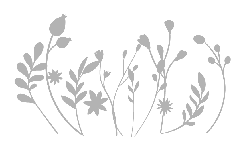 paquet fleurs grises
