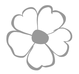 fleur avec contour grils et fond transparent